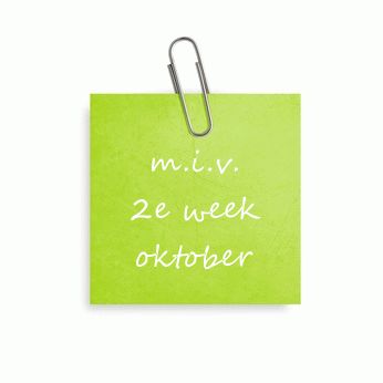 Karin Elgin-Nijhuis Branding by Storytelling Coachingstraject Branding 